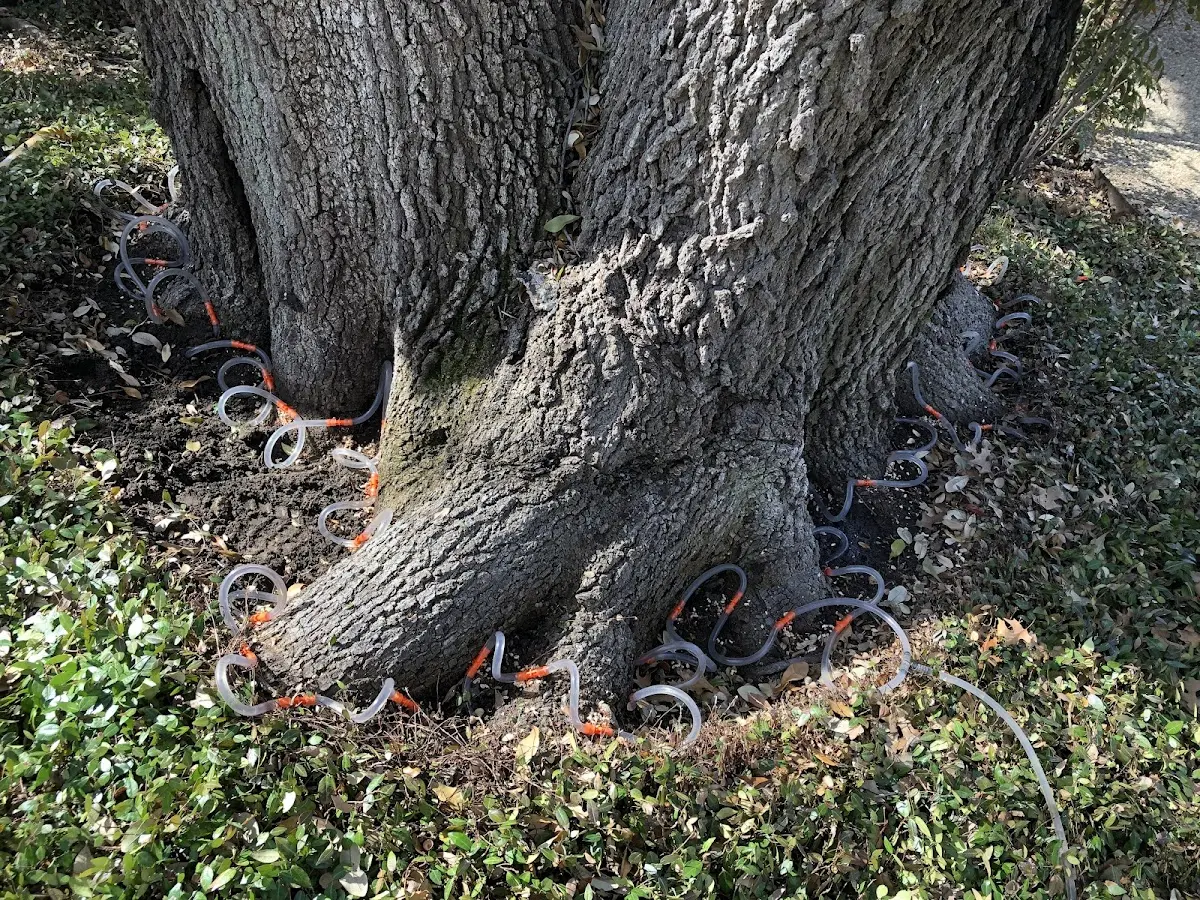 Detailed Shrub and Hedge Trimming job site in Gosnell